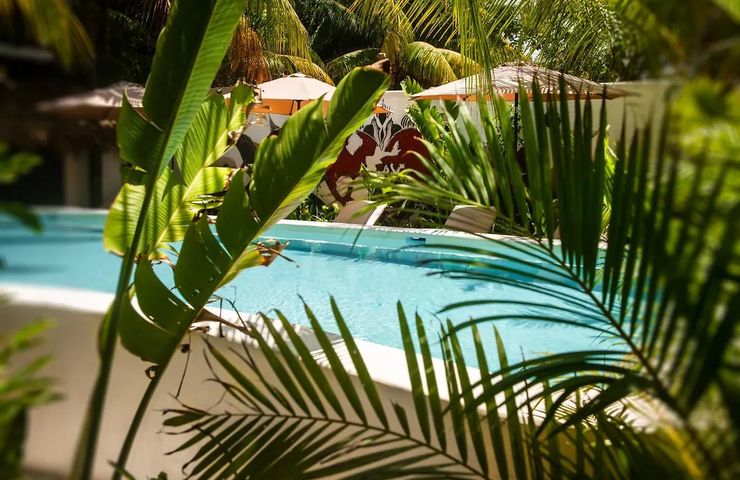 El Corazón Boutique Hotel - Adults Only with Beach Club pass included-1